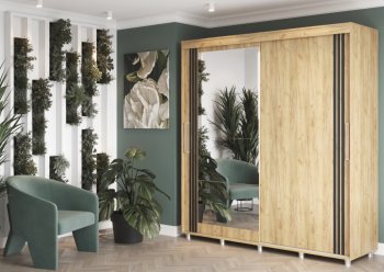 Шкаф-купе 2000 мм Форест крафт золотой(Стиль) в Нижнем Тагиле - nizhnij-tagil.mebel-e96.ru