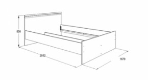 Кровать с ящиками Ольга-13 (1600) в Нижнем Тагиле - nizhnij-tagil.mebel-e96.ru