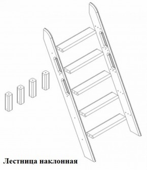 Кровать Сонечка 2-х ярусная (модульная) в Нижнем Тагиле - nizhnij-tagil.mebel-e96.ru