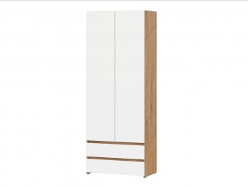 Стол компьютерный Некст-1 + Шкаф (СВ) в Нижнем Тагиле - nizhnij-tagil.mebel-e96.ru