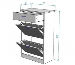 Обувница W21 (ЯАС) в Нижнем Тагиле - nizhnij-tagil.mebel-e96.ru