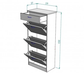 Обувница W23 (Белый) в Нижнем Тагиле - nizhnij-tagil.mebel-e96.ru