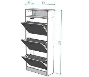 Обувница W9 (ДСС) в Нижнем Тагиле - nizhnij-tagil.mebel-e96.ru