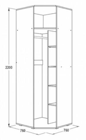 Шкаф 1-но дверный угловой Ольга-14 (760*760) в Нижнем Тагиле - nizhnij-tagil.mebel-e96.ru