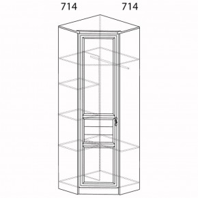 Шкаф для одежды угловой Лира 57 (Яна) в Нижнем Тагиле - nizhnij-tagil.mebel-e96.ru