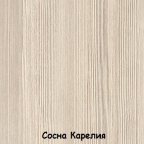 Шкаф 500 мм ДМ-03 Серия 2 (СВ) в Нижнем Тагиле - nizhnij-tagil.mebel-e96.ru