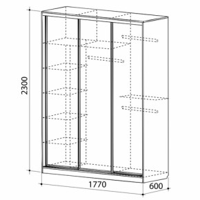 Шкаф-купе Бассо 1-600 (полки слева) в Нижнем Тагиле - nizhnij-tagil.mebel-e96.ru