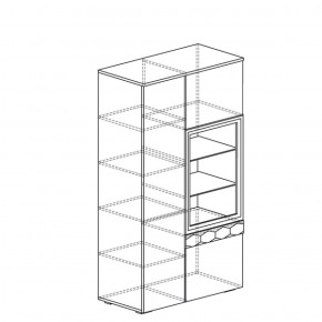 Шкаф многоцелевой Дели 62 (Яна) в Нижнем Тагиле - nizhnij-tagil.mebel-e96.ru