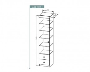 Шкаф Сканди 450 мм, ШД450.1 (ДСВ) в Нижнем Тагиле - nizhnij-tagil.mebel-e96.ru