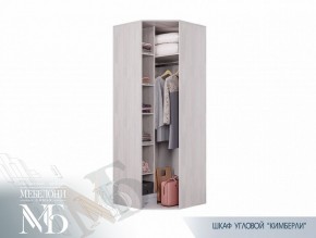 Шкаф угловой ШК-28 Кимберли (БТС) в Нижнем Тагиле - nizhnij-tagil.mebel-e96.ru