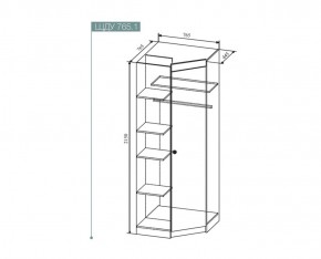 Шкаф угловой Сканди , ШДУ765.1 (ДСВ) в Нижнем Тагиле - nizhnij-tagil.mebel-e96.ru