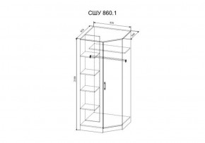 Шкаф угловой Софи  СШУ860.1 (ДСВ) в Нижнем Тагиле - nizhnij-tagil.mebel-e96.ru