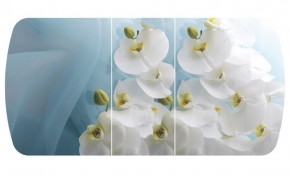 Стол Бостон-3 (Белая Орхидея) 1100/1420*700, опора Брифинг в Нижнем Тагиле - nizhnij-tagil.mebel-e96.ru