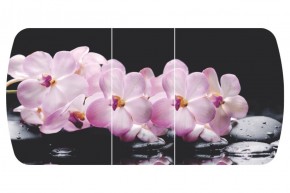 Стол Бостон-3 (Розовая Орхидея) 1100/1420*700, опора Брифинг в Нижнем Тагиле - nizhnij-tagil.mebel-e96.ru