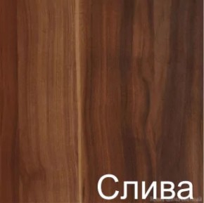 Стол-книжка (1-65) (ГК) в Нижнем Тагиле - nizhnij-tagil.mebel-e96.ru