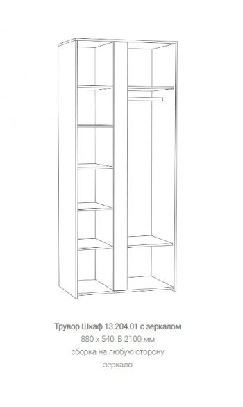 Шкаф Трувор 13.204.01 с зеркалом в Нижнем Тагиле - nizhnij-tagil.mebel-e96.ru