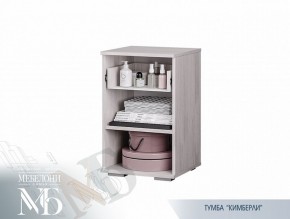 Тумба прикроватная ТБ-02 Кимберли (БТС) в Нижнем Тагиле - nizhnij-tagil.mebel-e96.ru