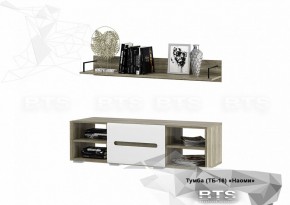 Тумба ТВ ТБ-16 Наоми (БТС) в Нижнем Тагиле - nizhnij-tagil.mebel-e96.ru