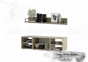 Тумба ТВ ТБ-16 Наоми (БТС) в Нижнем Тагиле - nizhnij-tagil.mebel-e96.ru